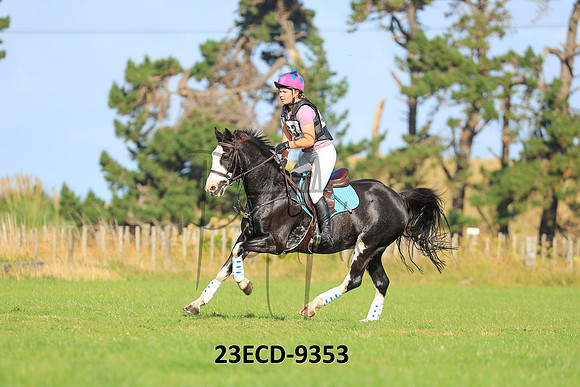23ECD-9353