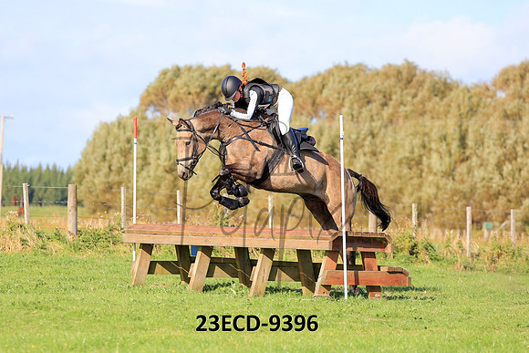 23ECD-9396