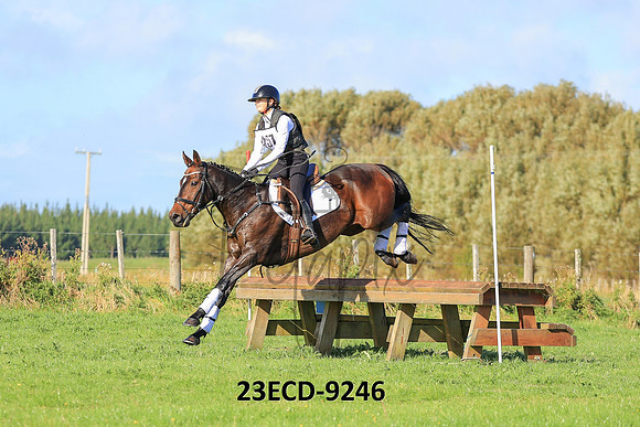 23ECD-9246