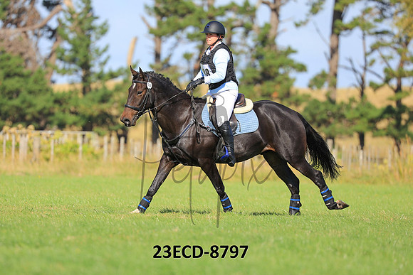 23ECD-8797