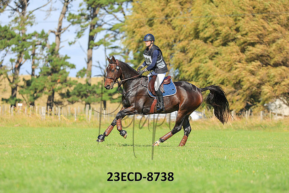 23ECD-8738