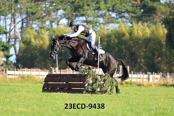 23ECD-9438