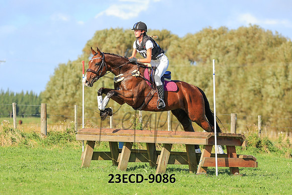 23ECD-9086
