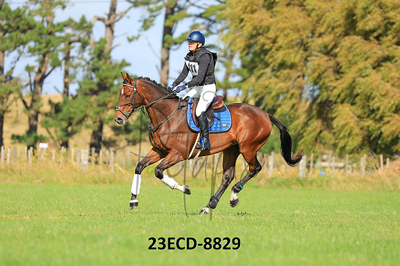 23ECD-8829