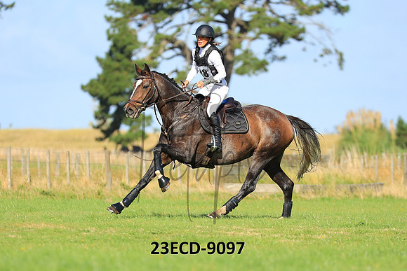 23ECD-9097