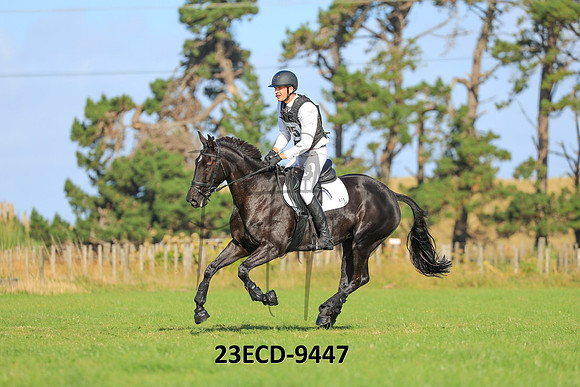 23ECD-9447