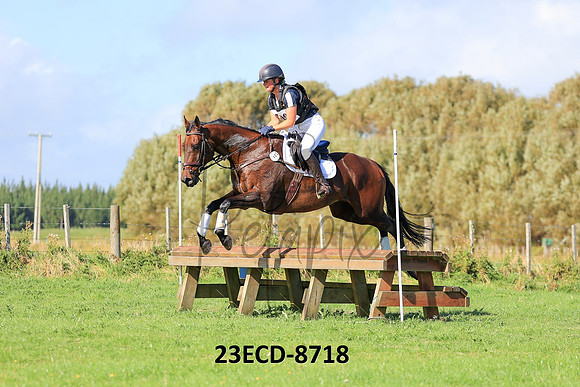 23ECD-8718