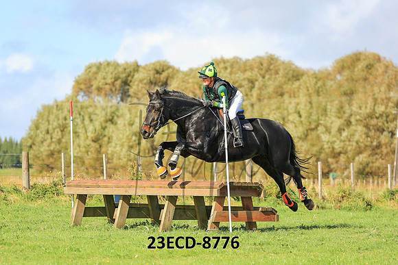 23ECD-8776
