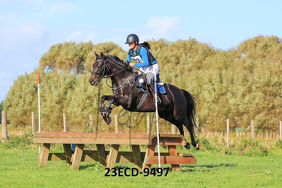 23ECD-9497