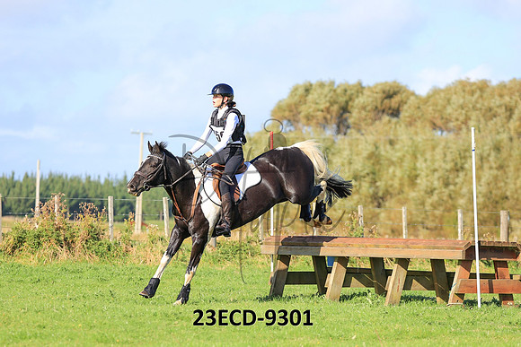 23ECD-9301
