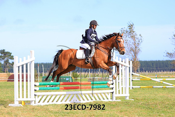 23ECD-7982