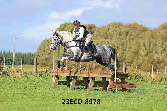 23ECD-8978