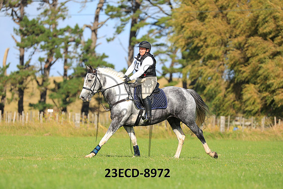 23ECD-8972