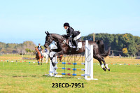 23ECD-7951