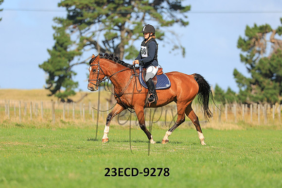 23ECD-9278