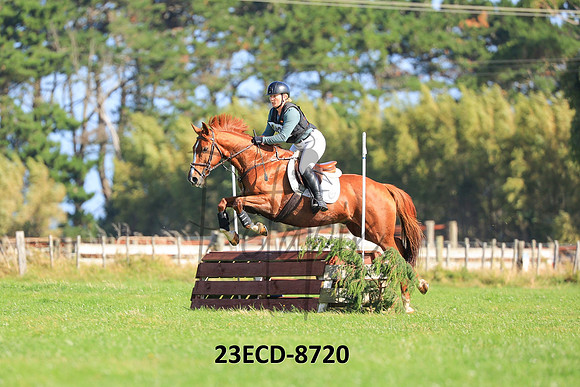 23ECD-8720