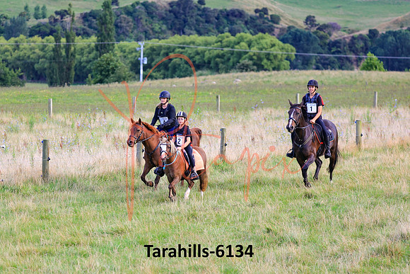 Tarahills-6134