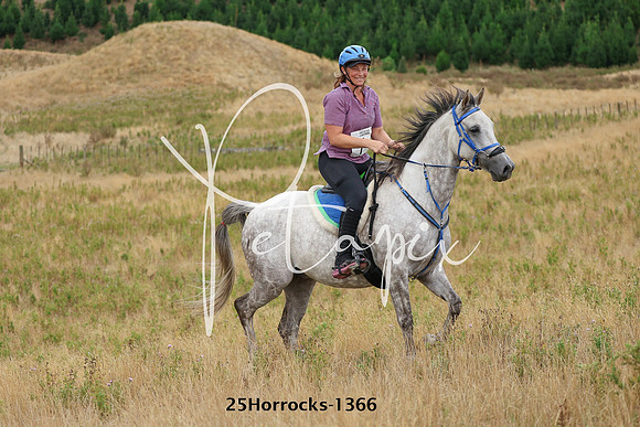 25Horrocks-1366
