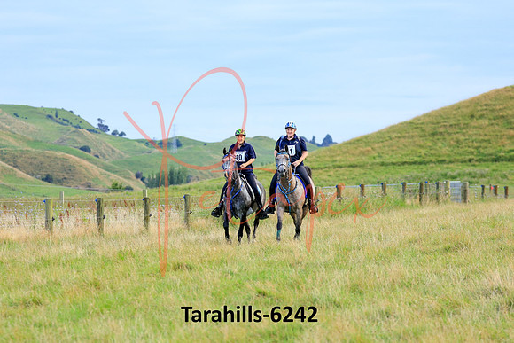 Tarahills-6242