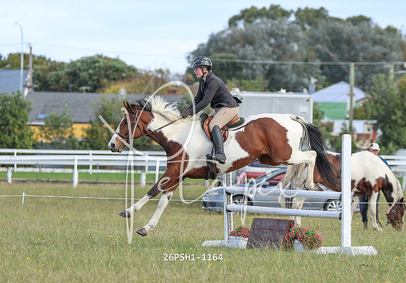 26PSH1-1164