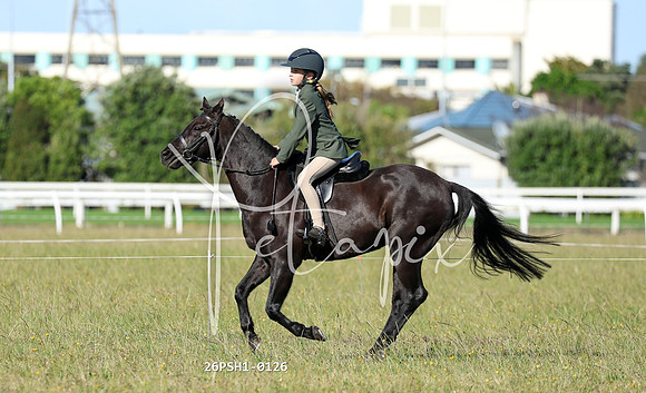 26PSH1-0126