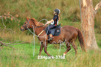 23Hpark-3768