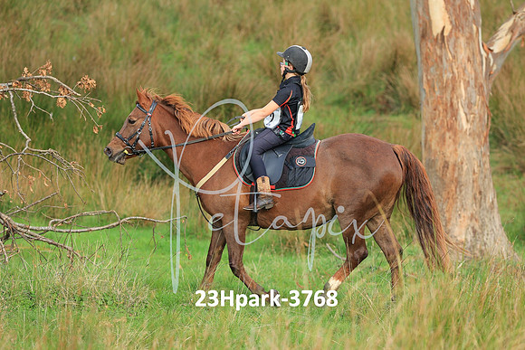 23Hpark-3768