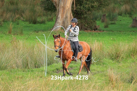 23Hpark-4278