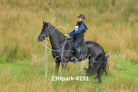 23Hpark-4191