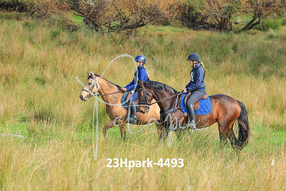23Hpark-4493