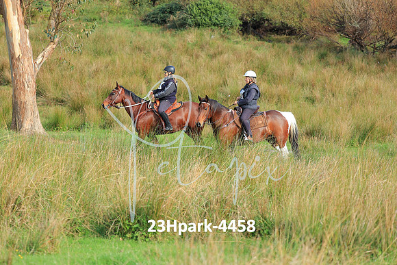 23Hpark-4458