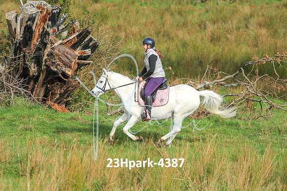 23Hpark-4387