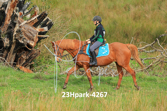 23Hpark-4267
