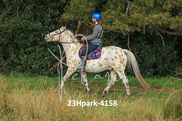 23Hpark-4158
