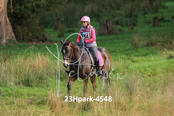 23Hpark-4548