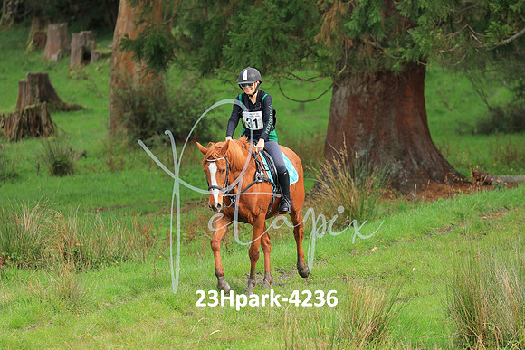23Hpark-4236