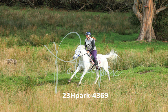 23Hpark-4369
