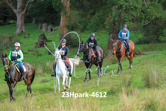 23Hpark-4612