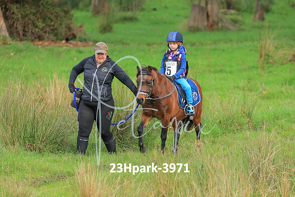 23Hpark-3971
