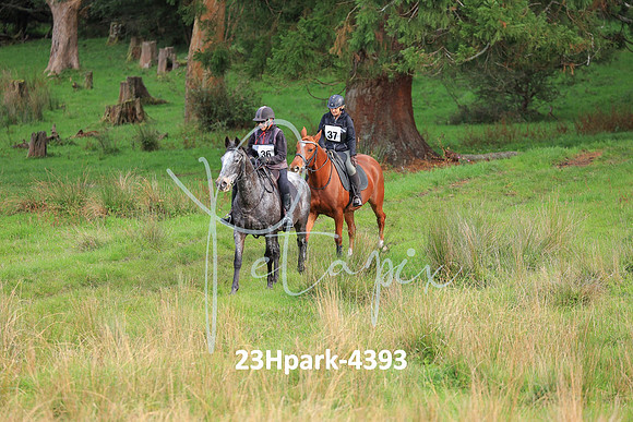 23Hpark-4393