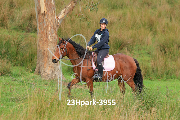 23Hpark-3955