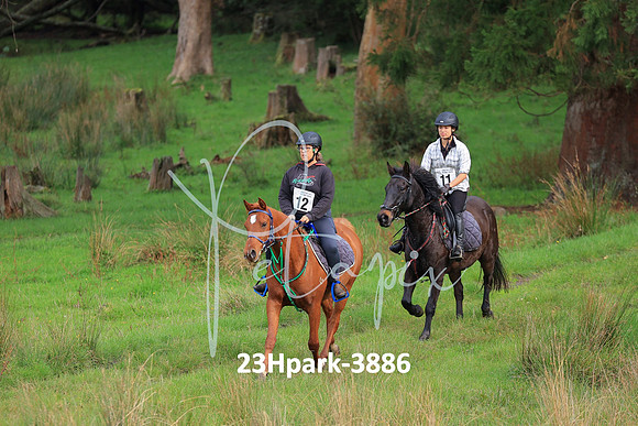 23Hpark-3886