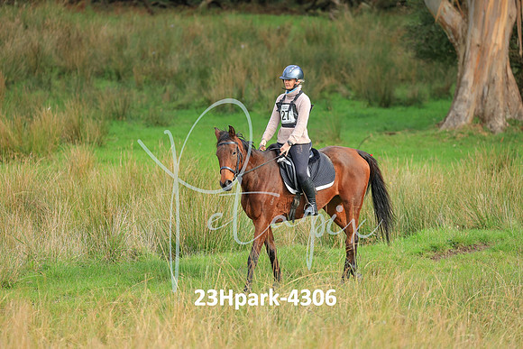 23Hpark-4306