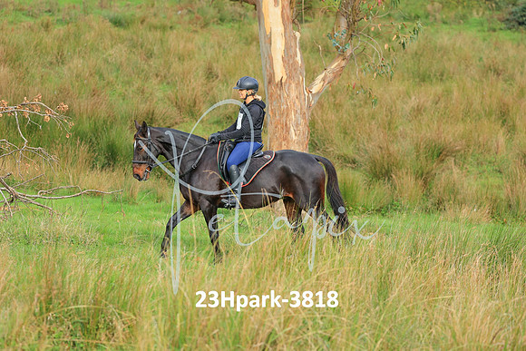 23Hpark-3818