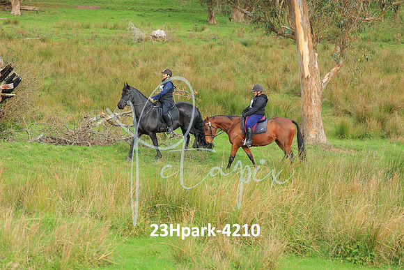 23Hpark-4210