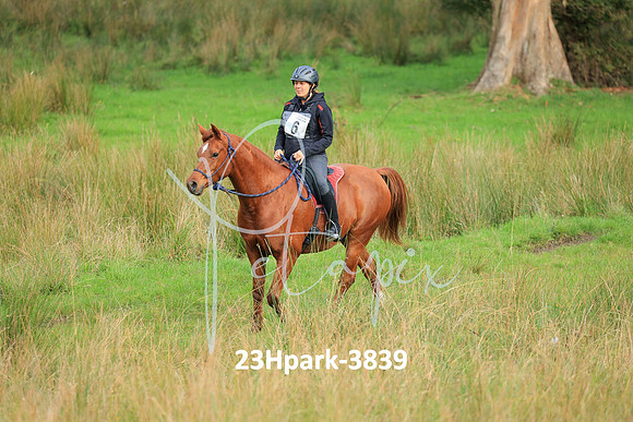 23Hpark-3839