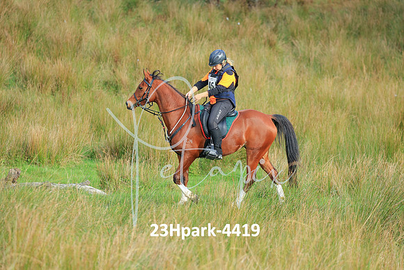 23Hpark-4419