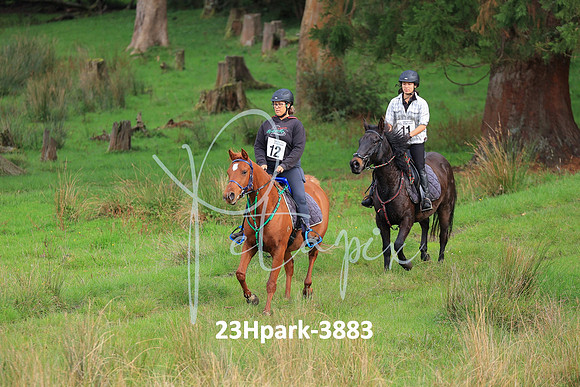 23Hpark-3883