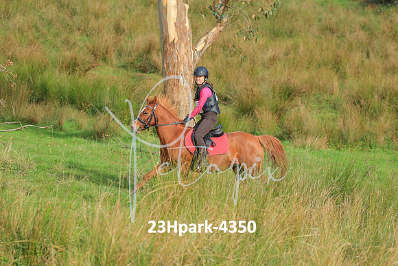 23Hpark-4350