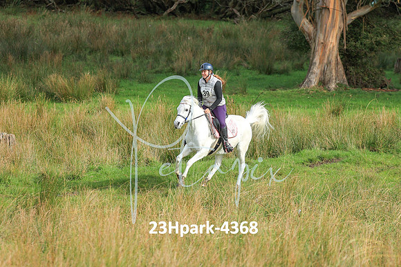 23Hpark-4368